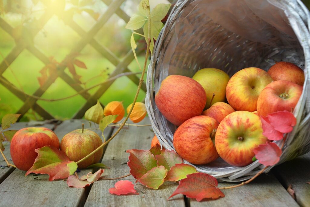 MA CURE DÉTOX D’AUTOMNE